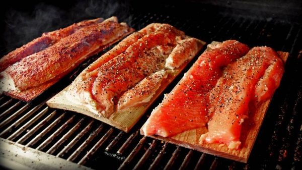 salmon